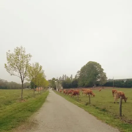 Alpehytte Les De Bes 